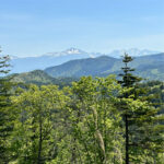ノブドウ畑から臨む安房山