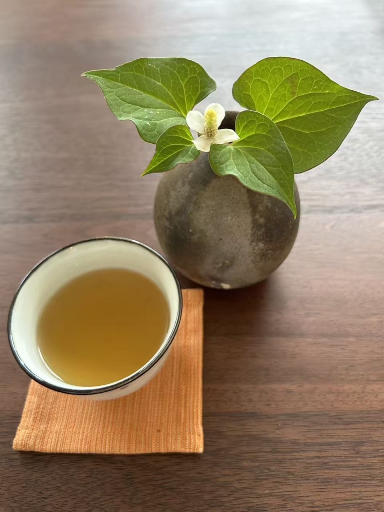 ドクダミ茶と一緒に